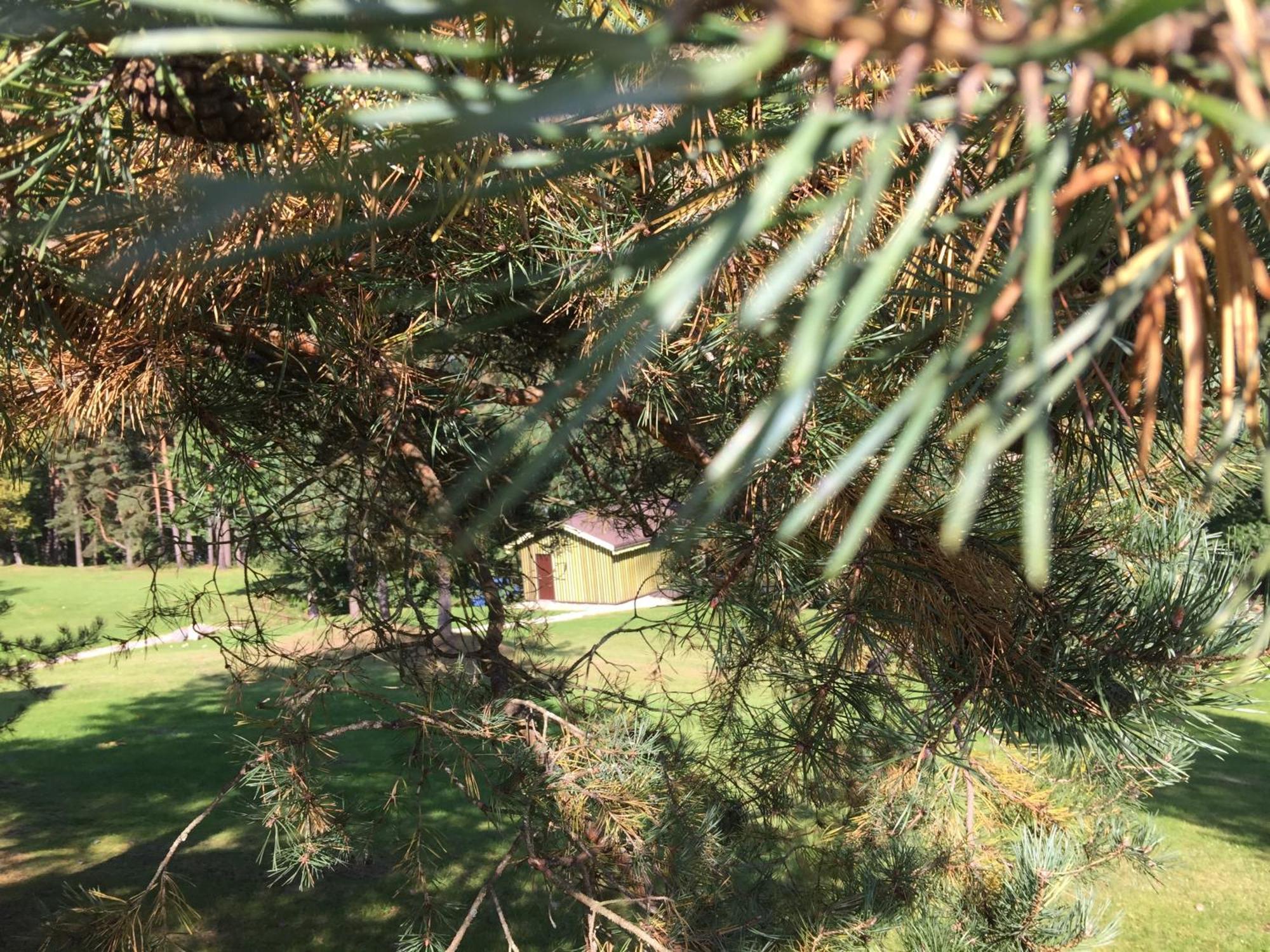 Kaimo Turizmo Sodyba Geras Leliunai Exteriér fotografie