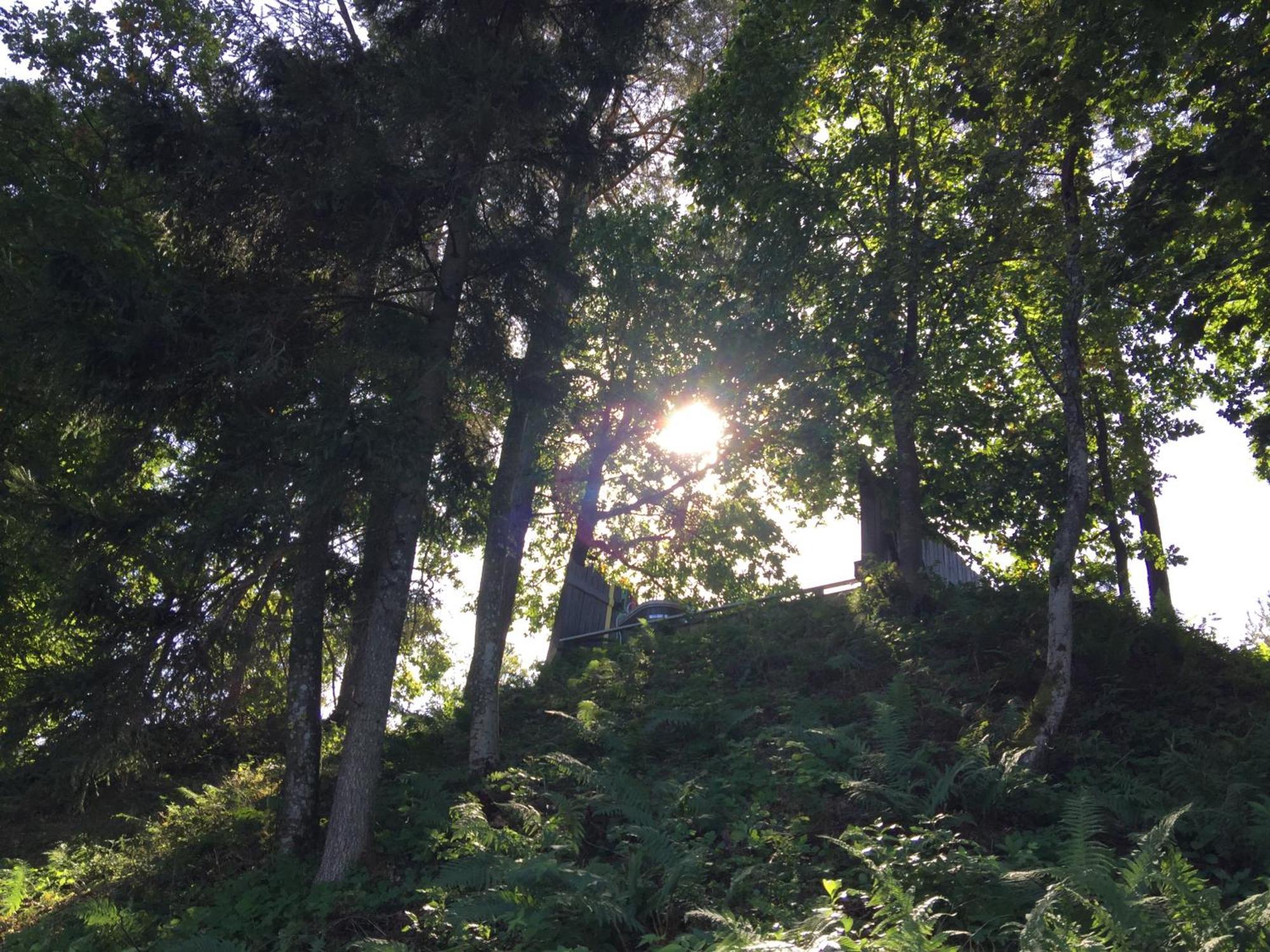 Kaimo Turizmo Sodyba Geras Leliunai Exteriér fotografie